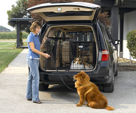 Midwest SUV Side by Side Double Door Dog Crates w/ABS Plastic Pan 36-inch